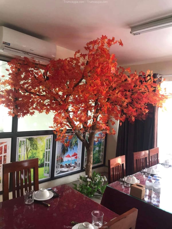 cây cổ thụ giả lá đỏ