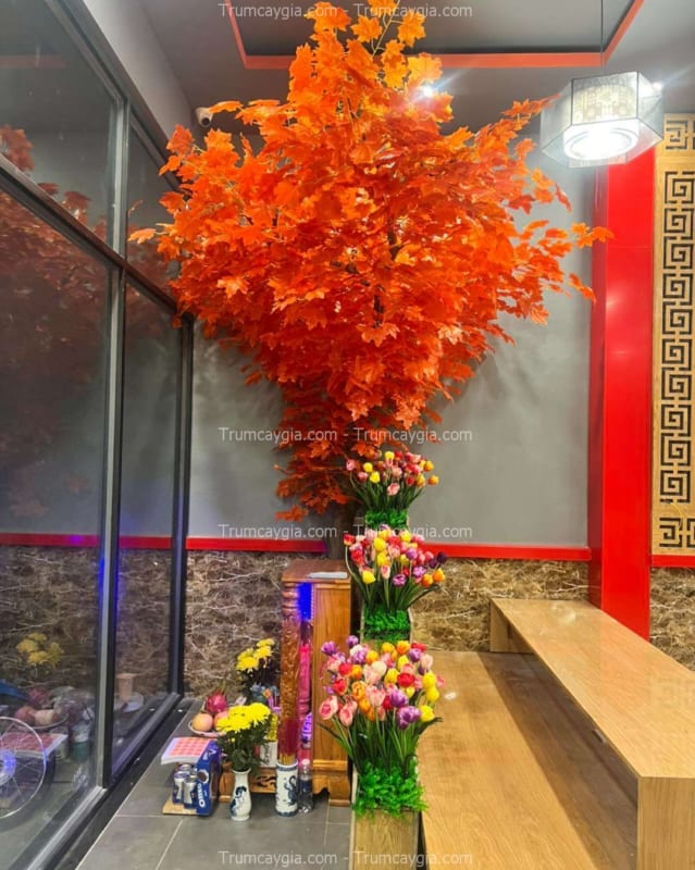 cây phong giả cầu giấy