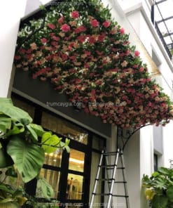 hoa hồng leo giả nhà phố