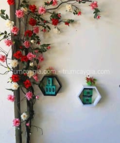 hoa hồng giả cần thơ