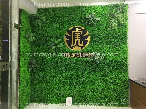 thi công tường cây giả