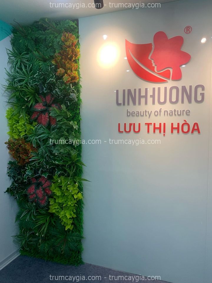 tuong-cay-gia-binh-thanh-1