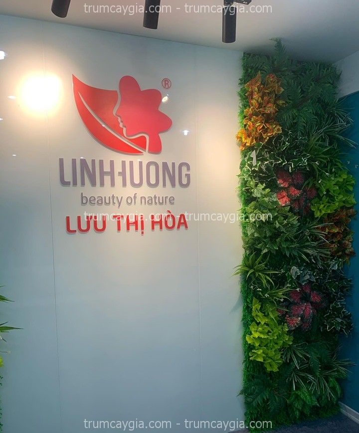 tuong-cay-gia-binh-thanh-2