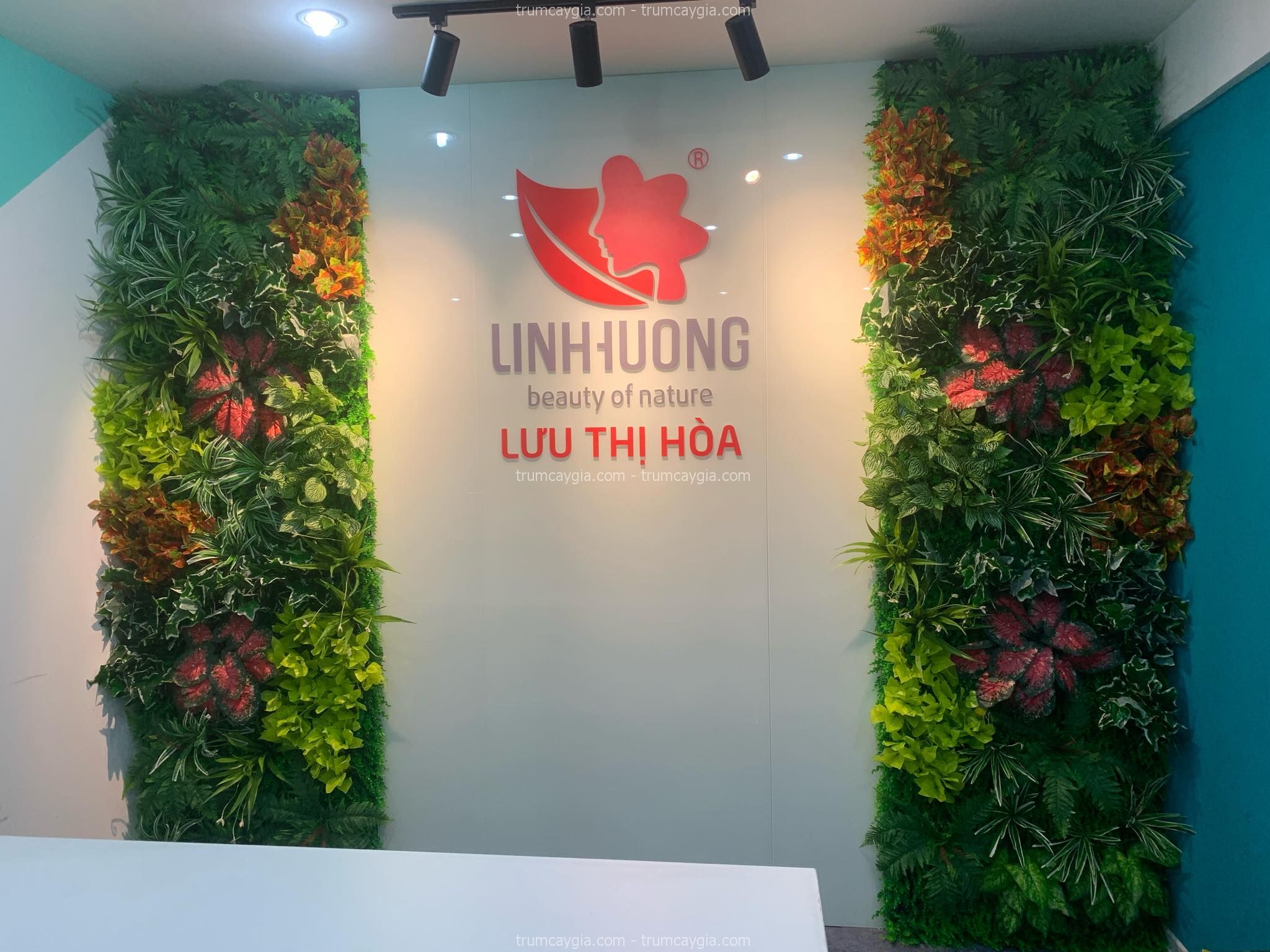 tuong-cay-gia-binh-thanh
