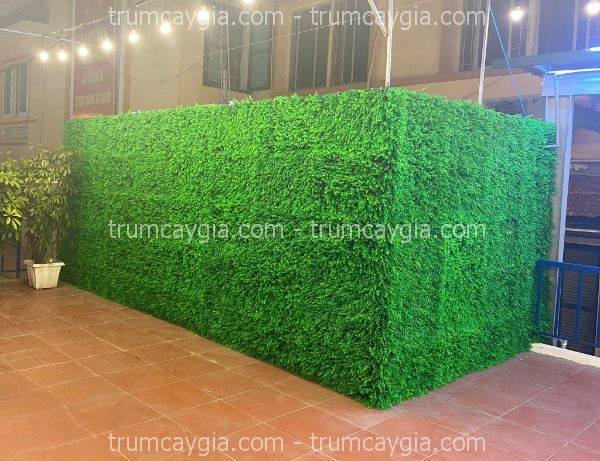 tường cây giả quận tân phú