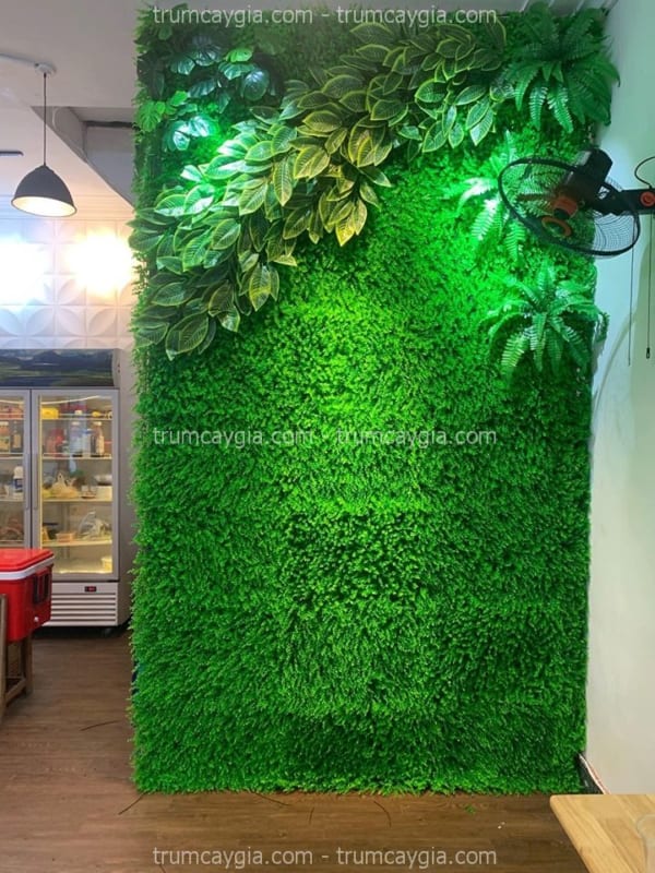 Tường Cây Giả Tây Ninh