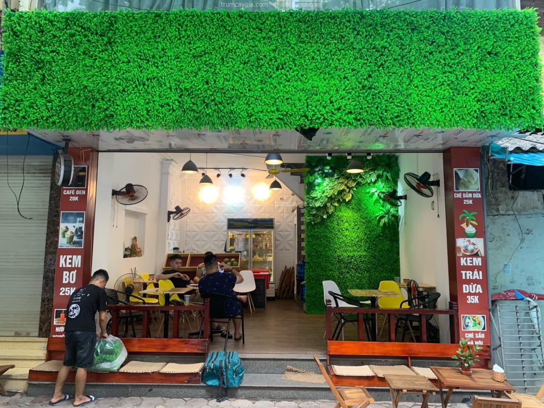 Tường Cây Giả Tây Ninh