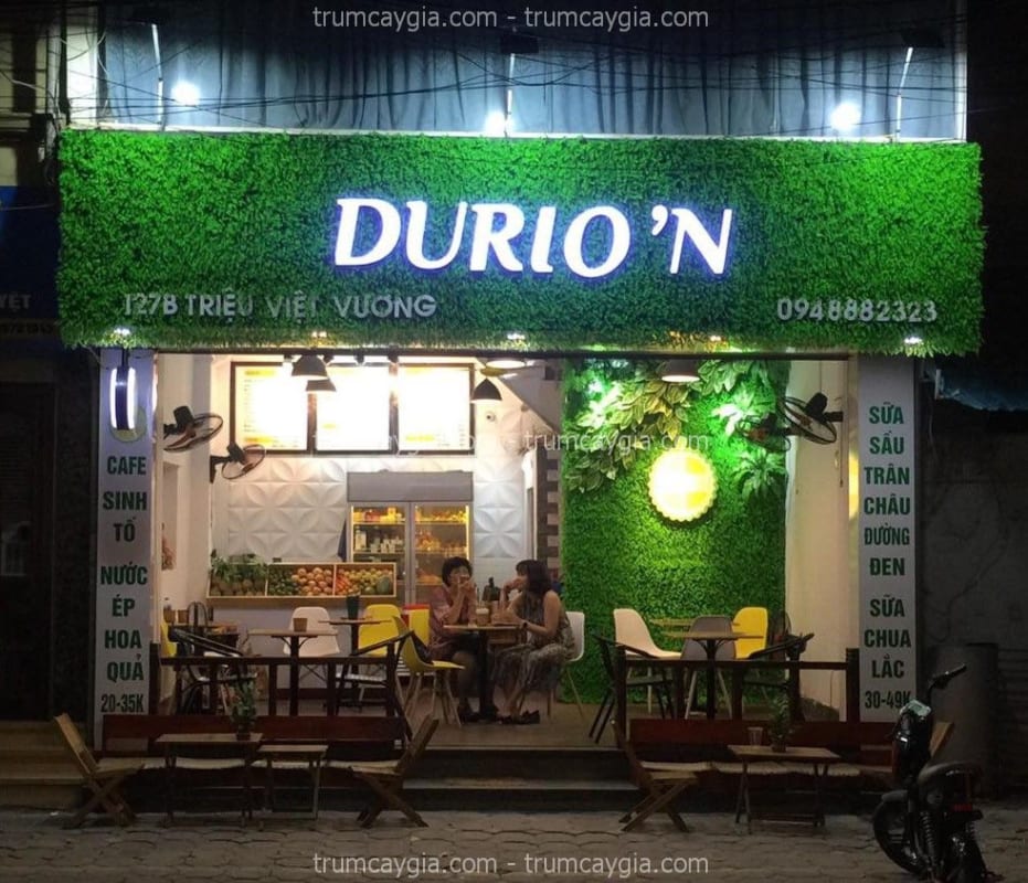 Tường Cây Giả Tây Ninh