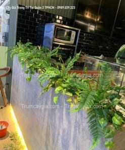 buc cay gia trang tri tai quan 2 TPHCM