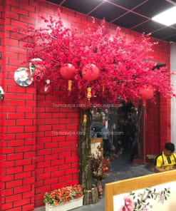 Cây Hoa Anh Đào Đỏ Giả