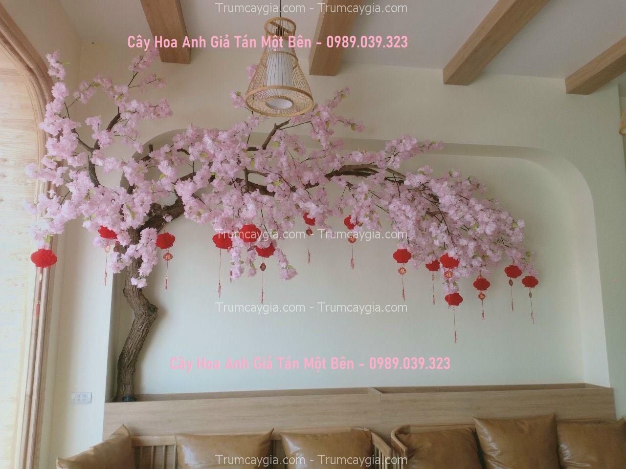 cay-hoa-anh-gia-tan-mot-ben cay hoa anh dao gia tan mot ben
