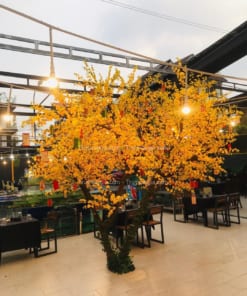 Cây Hoa Mai Vàng Giả Trang Trí Nhà Hàng