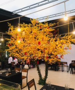 Cây Hoa Mai Vàng Giả Trang Trí Nhà Hàng