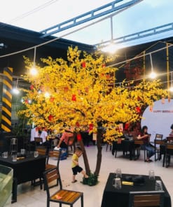 Cây Hoa Mai Vàng Giả Trang Trí Nhà Hàng