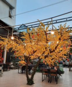 Cây Hoa Mai Vàng Giả Trang Trí Nhà Hàng