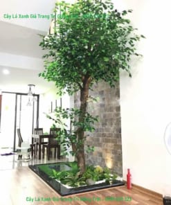 cay la xanh gia trang tri gieng troi