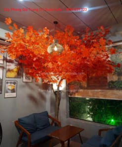 cay phong gia trang tri quan cafe