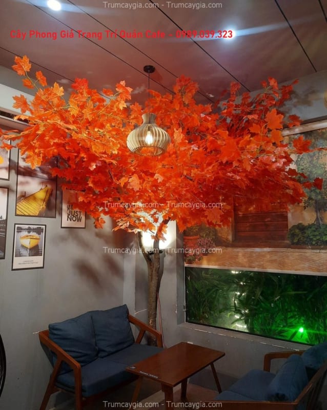 cay phong gia trang tri quan cafe