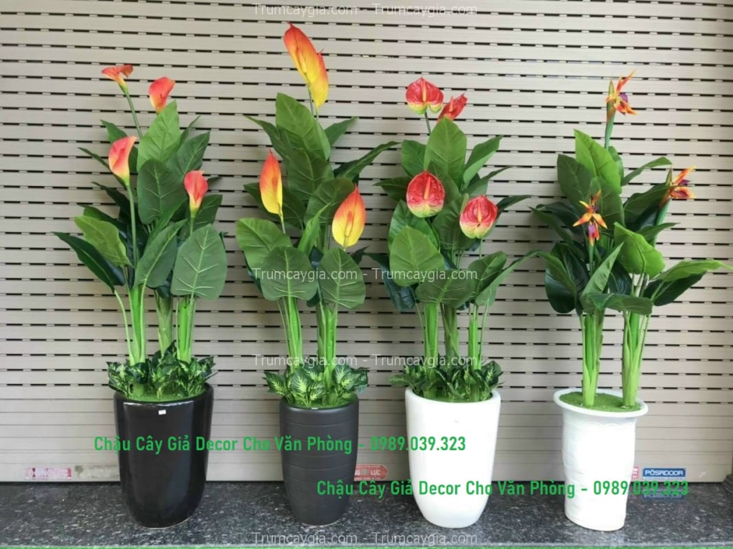 chau cay gia decor cho van phong