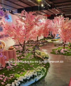 cho thue cay hoa anh dao gia su kien