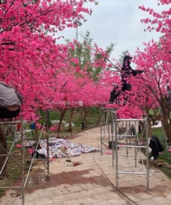 Cho Thuê Cây Hoa Anh Đào Giả Tại Hà Nội