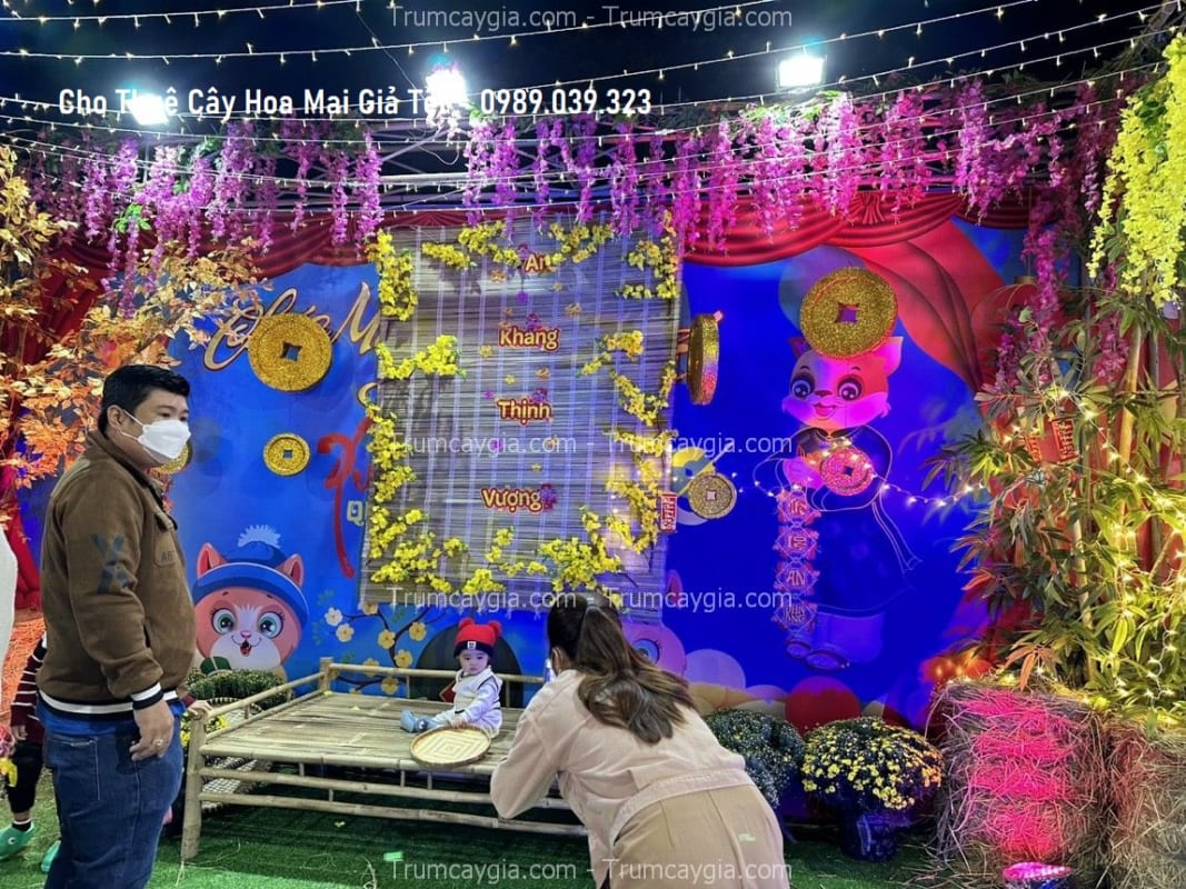 cho thue cay hoa mai gia tet