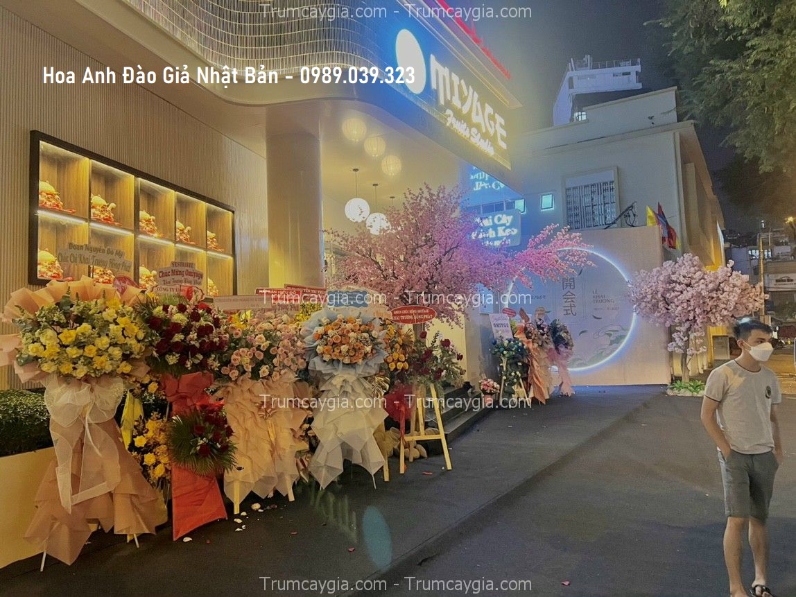 hoa-anh-dao-gia-nhat-ban-1 hoa anh dao gia nhat ban