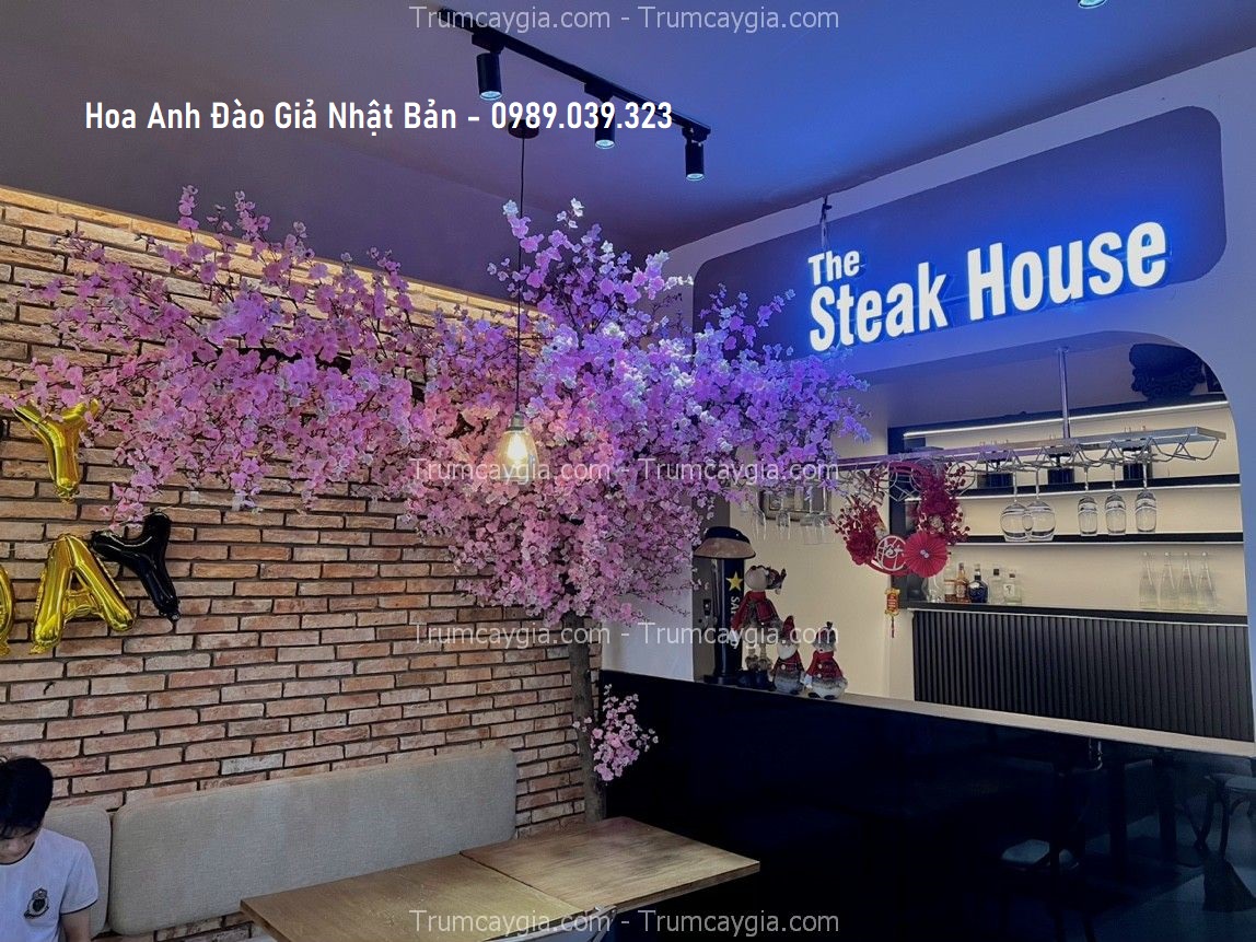 hoa-anh-dao-gia-nhat-ban-2 hoa anh dao gia nhat ban