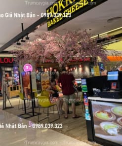 hoa anh dao gia nhat ban