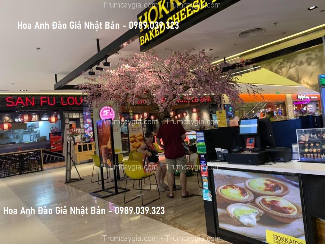 hoa-anh-dao-gia-nhat-ban hoa anh dao gia nhat ban