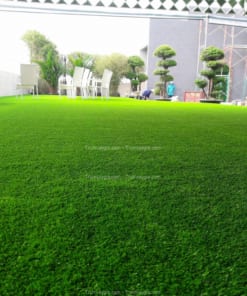 Thảm Cỏ Nhân Tạo Giả Giá Rẻ