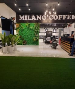 Thảm Cỏ Nhân Tạo HCM