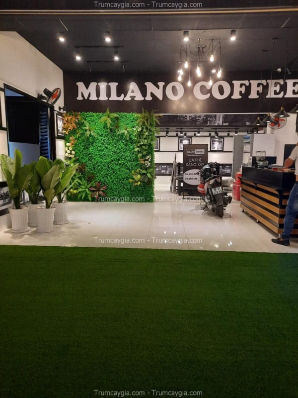 Thảm Cỏ Nhân Tạo HCM