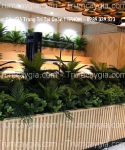 thi cong buc cay gia trang tri tai quan 1 TPHCM