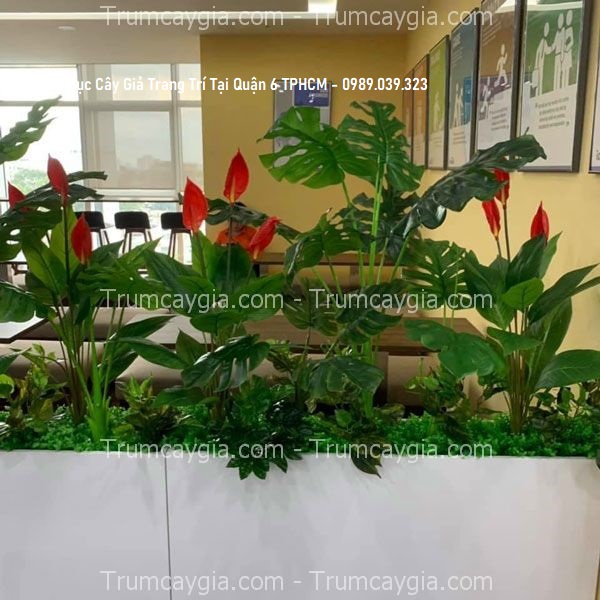 thi công buc cay gia trang tri tai quan 6 TPHCM