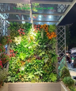 tuong cay gia tại long an hcm