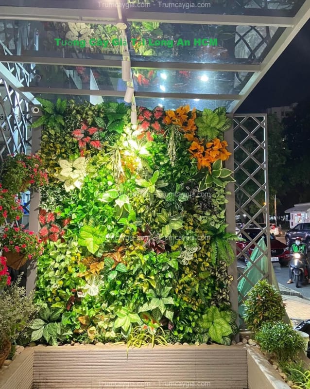 tuong cay gia tại long an hcm