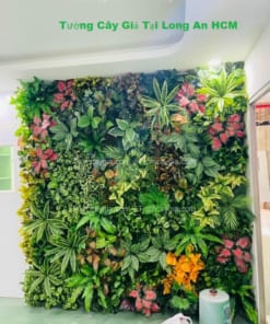 tuong cay gia tại long an hcm