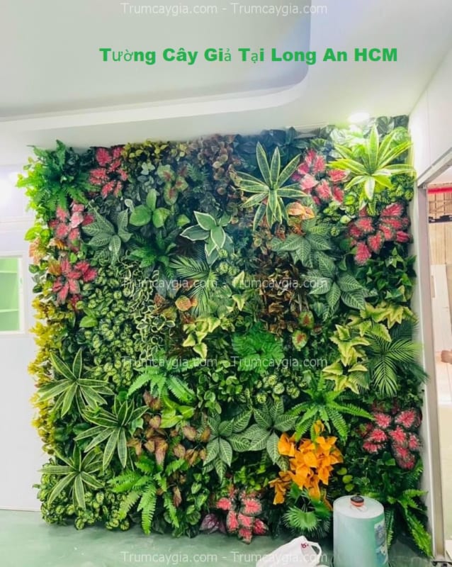 tuong cay gia tại long an hcm