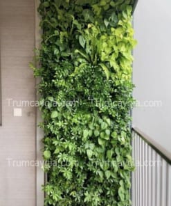 Tường Cây Giả Tại Quận 12 TPHCM