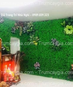 tuong cay gia trang tri nha nghi