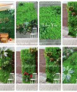 tuong cay gia trang tri nha nghi
